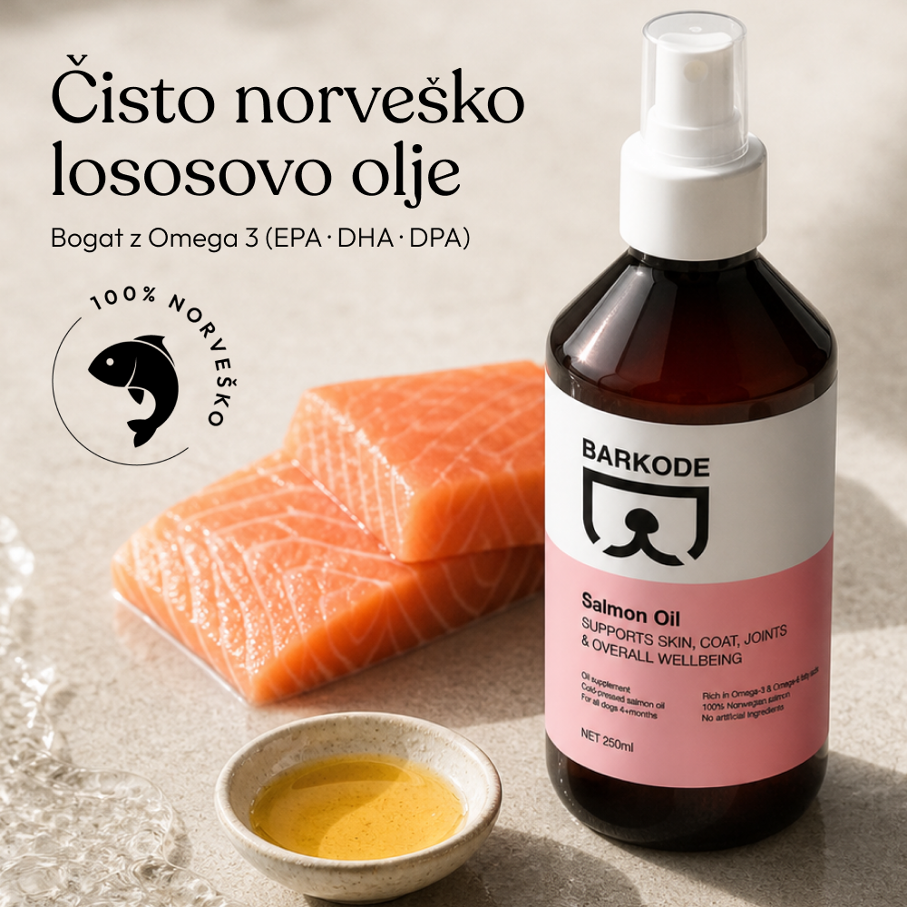 Salmon Oil
